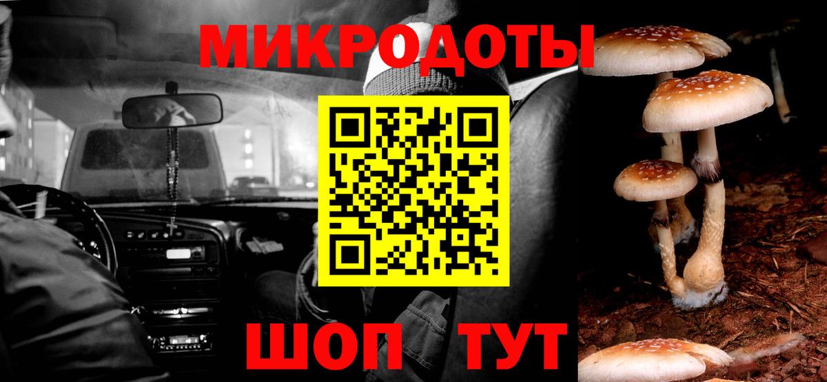 купить   Вход с VPN  Черногорск  Псилоцибиновые грибы мицелий 